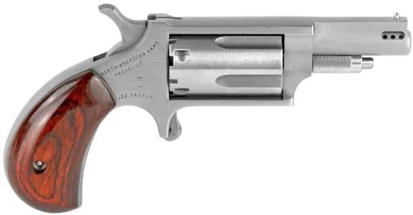 NAA22MP.jpg