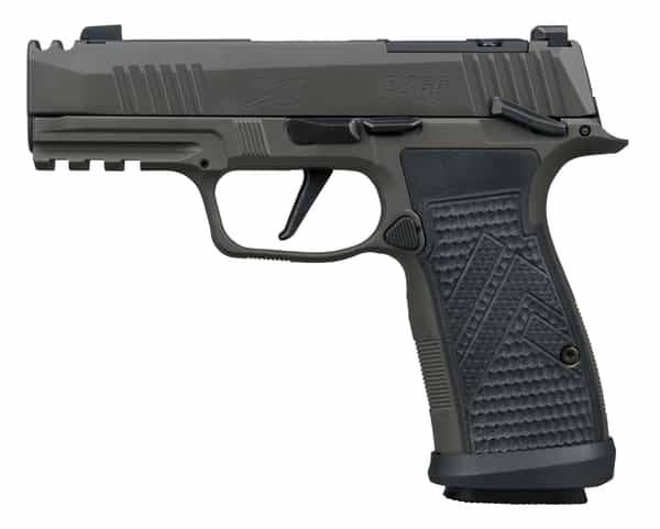 P365AXGCA.jpg